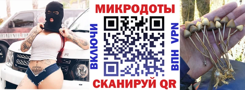 Галлюциногенные грибы Psilocybe  купить закладку  МЕГА сайт  дарк нет формула  Бокситогорск 